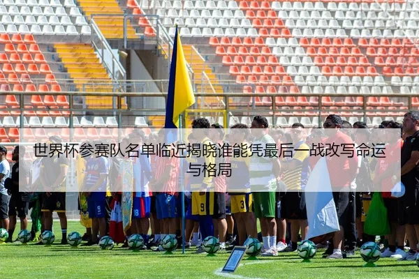 世界杯参赛队名单临近揭晓谁能凭最后一战改写命运与格局
